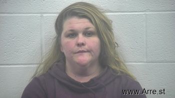 Nicole Michelle Mullins Mugshot