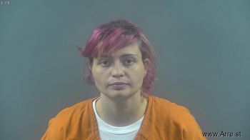 Nicole L Reid Mugshot