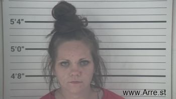 Nicole Lynn Wambsganz Mugshot