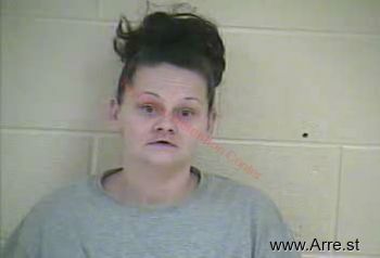 Nina A. Downs Mugshot