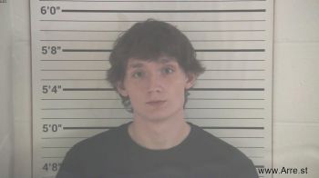 Noah Skie Miller Mugshot