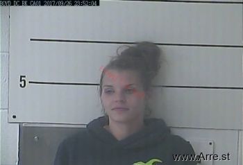 Pamela K Chaffins Mugshot