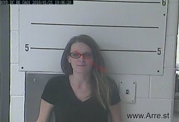 Pamela Kaye Hayes Mugshot