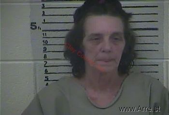 Pamela  Holbrook Mugshot