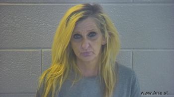 Pamela M Jones Mugshot