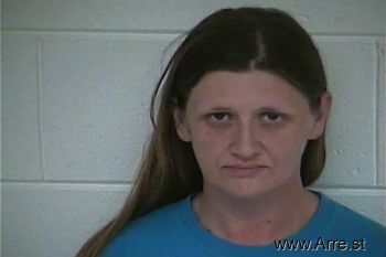 Pamela B Menefee Mugshot