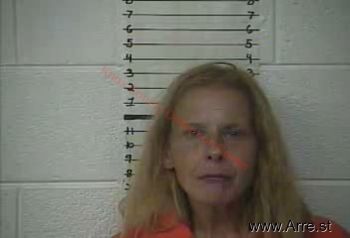 Pamela  Nelson Mugshot