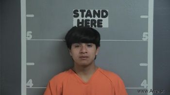 Pascual  Perez Mugshot