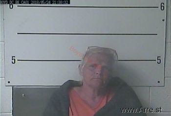 Patricia L Bailey Mugshot