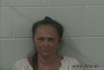 Patricia Ann Butler Mugshot