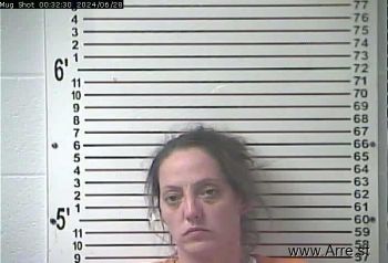 Patricia Lynn Wiley Mugshot