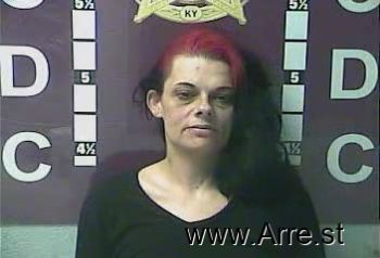 Paula Ann Carrier Mugshot