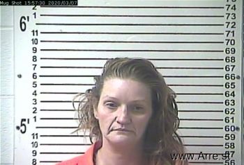 Paula Allison Erickson Mugshot