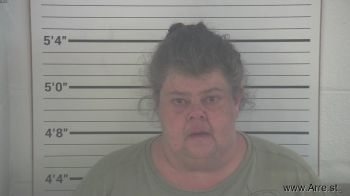 Paula Sue Gilbert Mugshot