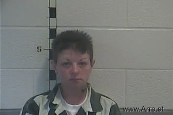 Paula Lee Raisor Mugshot