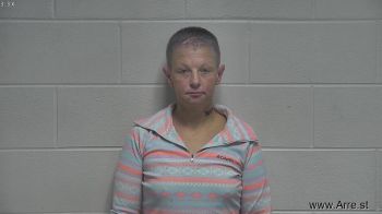 Paula Lee Raisor Mugshot