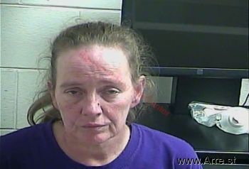 Paula  Wells Mugshot