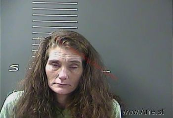 Paula L Wells Mugshot