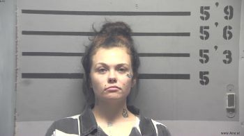 Paige  Hill Mugshot