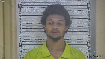 Quentin Labrant Lane Mugshot