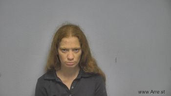 Rebecca Lynn Parks Mugshot