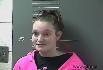 Renee  Risner Mugshot