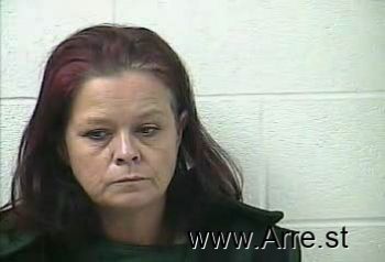 Robin Ann Anderson- Gilmore Mugshot