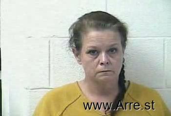 Robin Ann Anderson- Gilmore Mugshot