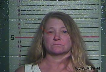 Robin Layne Chambers Mugshot