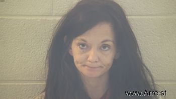 Robin Michelle Dykes Mugshot