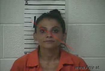 Robin Nicole Gray Mugshot