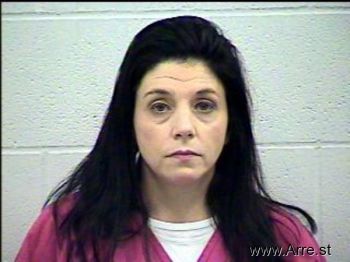 Robin Ann Harris Mugshot