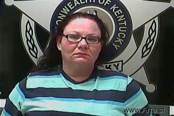 Robin Lynn Jones Mugshot