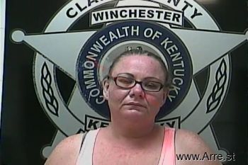 Robin Lynn Jones Mugshot