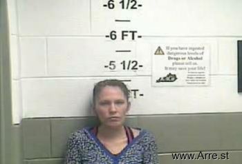 Robin Michelle Lawson Mugshot