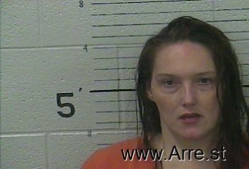 Robin Michelle Smith Mugshot