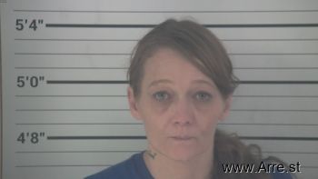 Robin Renee Tanner Mugshot