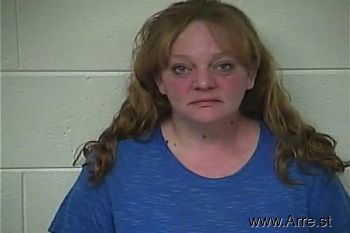 Robyn  Johnson Mugshot