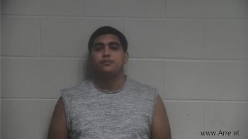 Roinner  Chirino Teran Mugshot