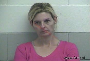 Ronna L Carmicle Mugshot