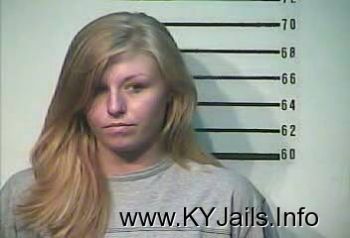 Rachel Lynn Johnston   Mugshot