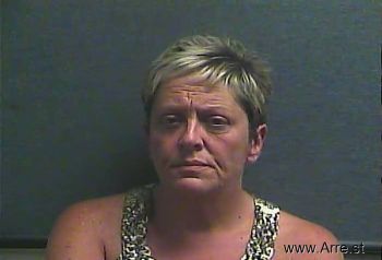 Robin Lynn Lawson Mugshot