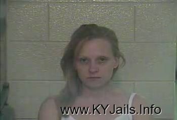 Robin Lee Blevins   Mugshot