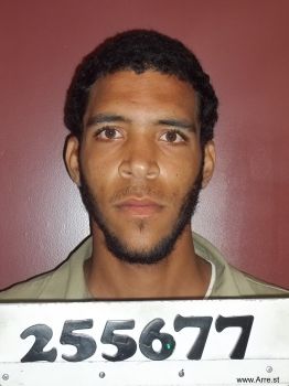 Roger Lee Mitchell Mugshot