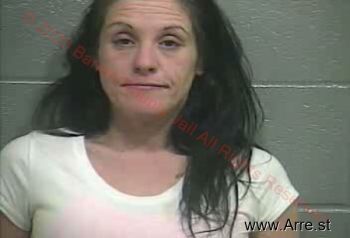 Salena Sue Barnett Mugshot