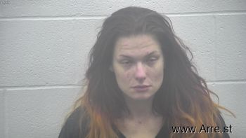 Samantha Gayle Henson Mugshot