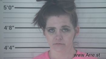 Samantha Jo Steffen Mugshot