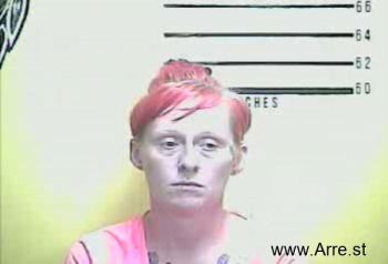 Samantha N Williams-burke Mugshot