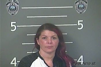 Sandra R Anderson Mugshot