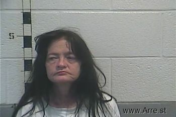 Sandra Gail Hawkins Mugshot